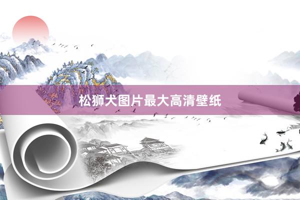 松狮犬图片最大高清壁纸